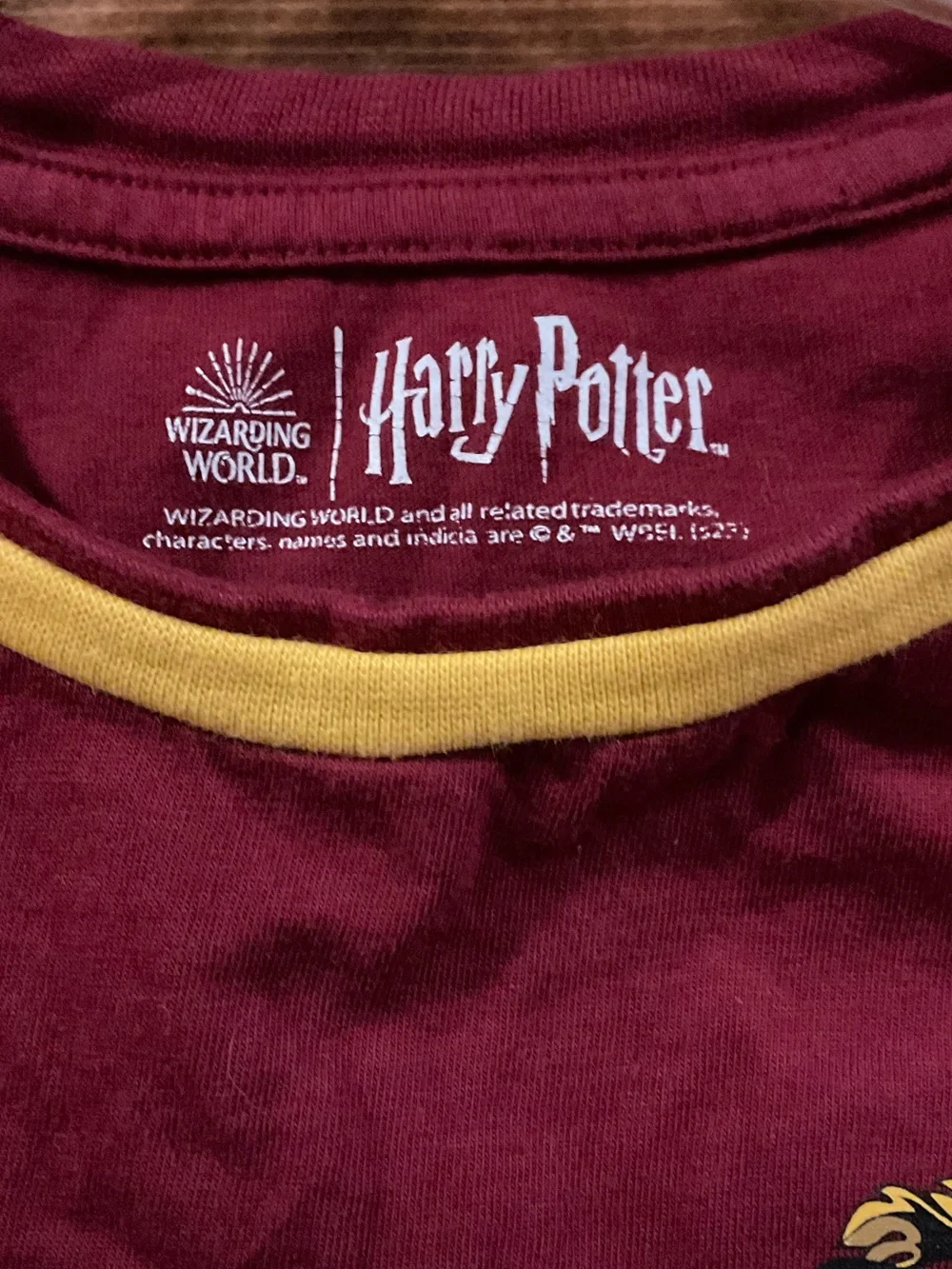 Wizarding World of Harry Potter Youth Boys Gryfindor Quidditch T-Shirt size 12